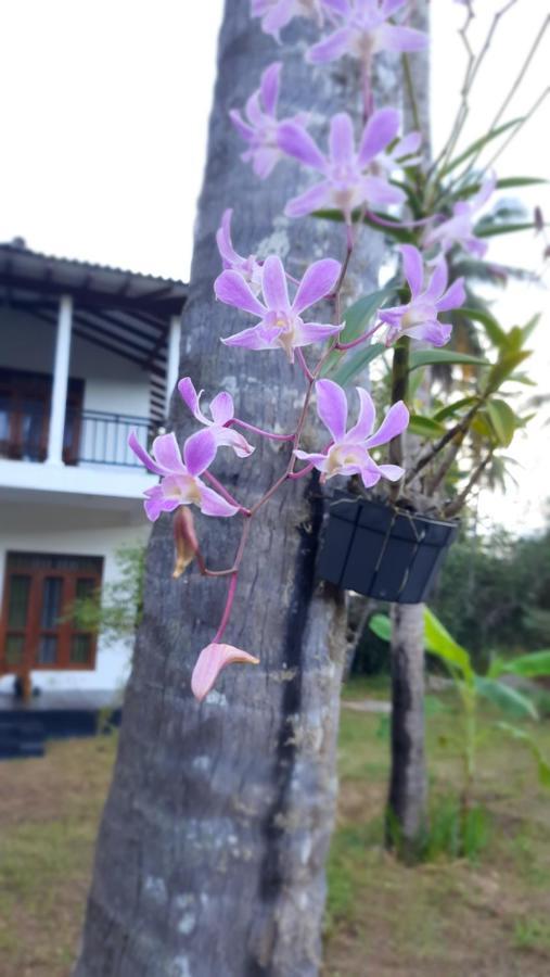 Mellow Villa Tangalle Zewnętrze zdjęcie